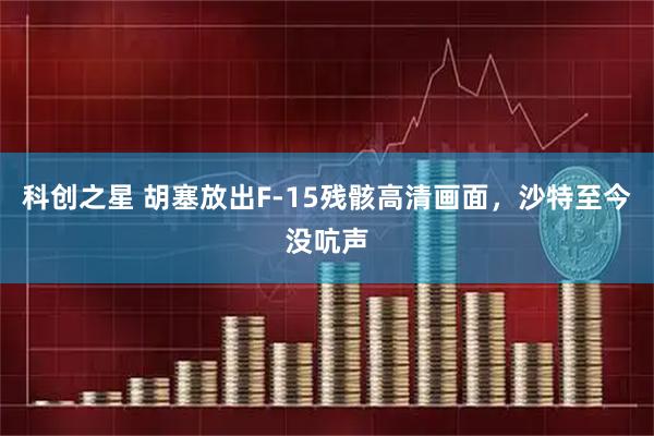 科创之星 胡塞放出F-15残骸高清画面，沙特至今没吭声