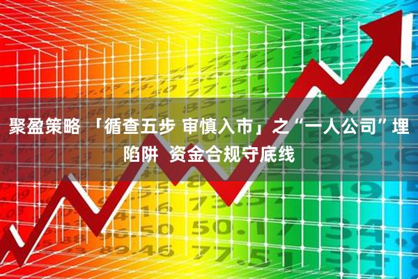 聚盈策略 「循查五步 审慎入市」之“一人公司”埋陷阱  资金合规守底线