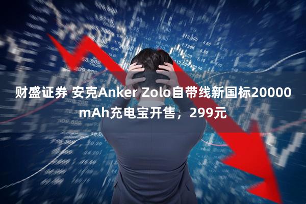 财盛证券 安克Anker Zolo自带线新国标20000mAh充电宝开售,299元