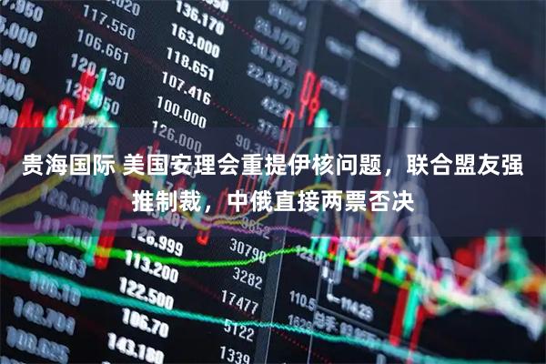 贵海国际 美国安理会重提伊核问题，联合盟友强推制裁，中俄直接两票否决