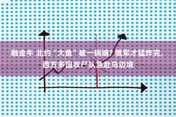 融金牛 北约“大鱼”被一锅端? 俄军才猛炸完, 西方多国收尸队急赴乌边境